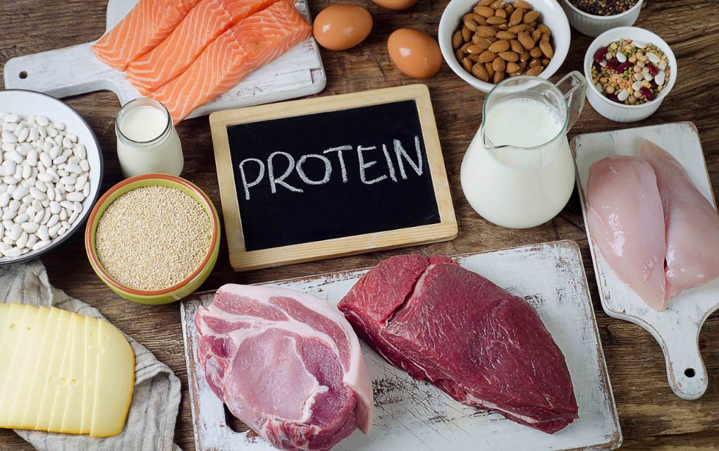 top 10 high protien foods